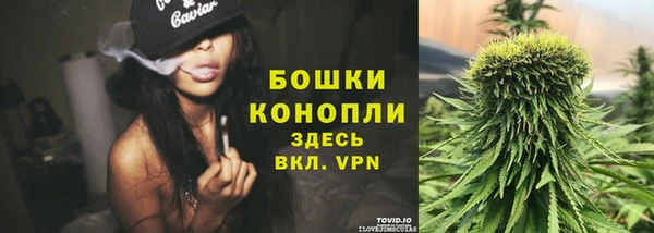 трава Карпинск