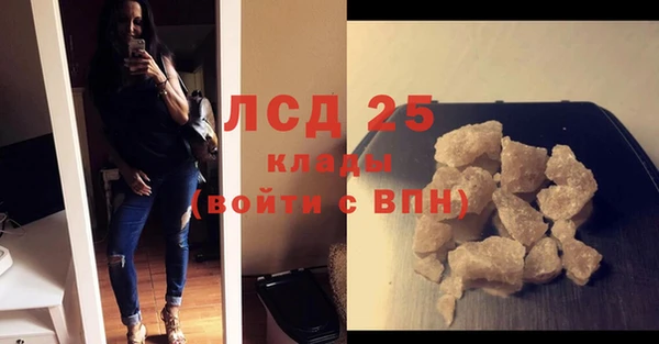 трава Карпинск