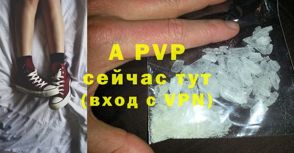 мет Касимов
