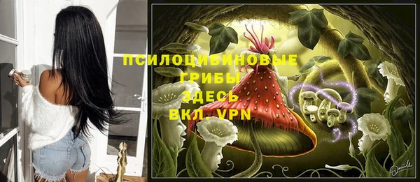 спиды Карталы