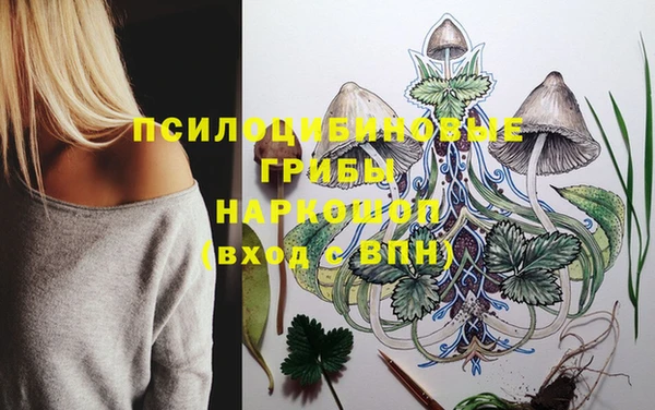 трава Карпинск