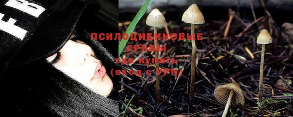 спиды Карталы