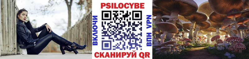 Купить  Белая Холуница  Галлюциногенные грибы Psilocybe 